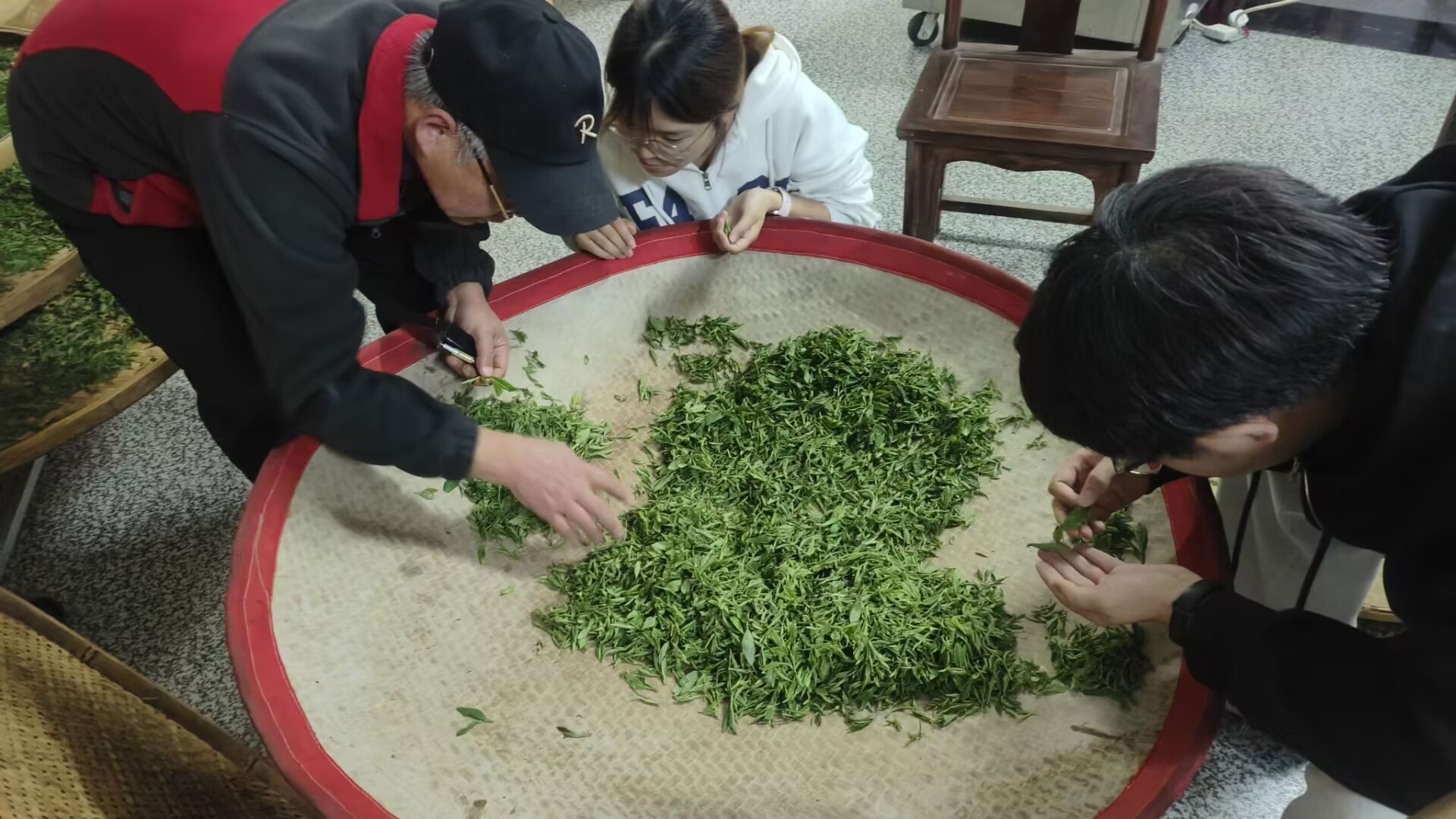 定光平教授率队赴羊楼洞古茶镇开展茶叶实践教学