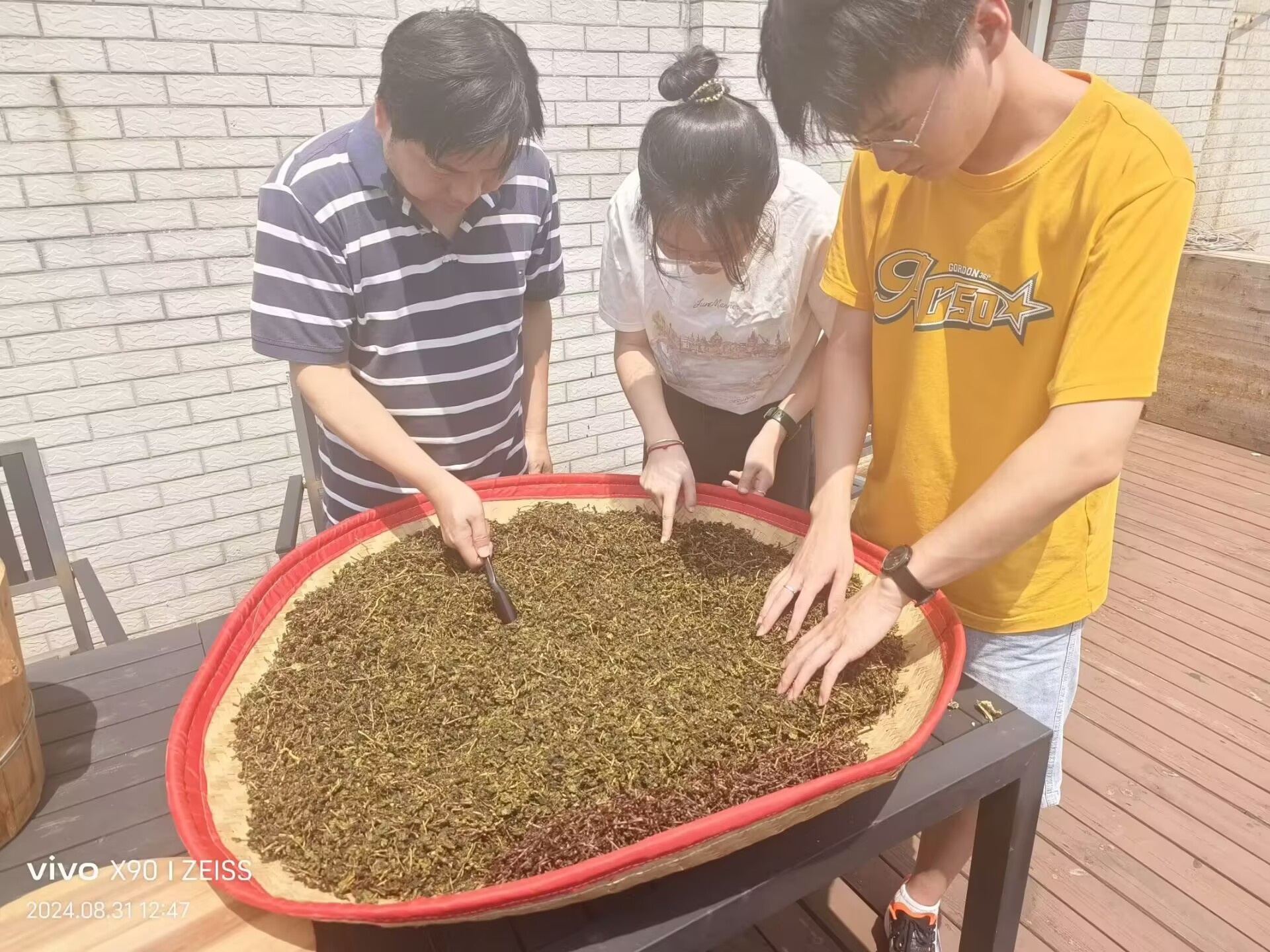定光平团队茶叶小渥堆实验取得突破